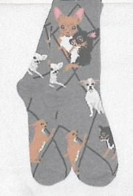 Adult Socks CHIHUAHUA Dog Breed Gray size Medium Made in USA