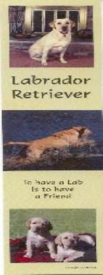Bookmark YELLOW LAB Laminated Paper set of 2...Clearance Priced