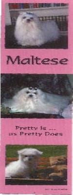 Bookmark MALTESE Laminated Paper set of 2...Clearance Priced