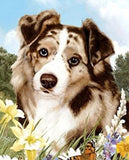 Dog Breed Flag Australian Shepherd Red Small Size Outdoor Garden Flag