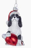 Glass Ornament CAVALIER KING CHARLES B/W w/Holiday Bulb  Retired