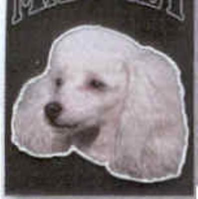 Car Magnet POODLE Dog Breed Die-cut Vinyl...Clearance Priced