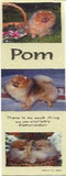 Bookmark POMERANIAN Laminated Paper set of 2...Clearance Priced