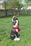 Quality Glass BOSTON TERRIER III Blown Glass Dog Breed Christmas Ornament