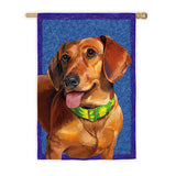 Large Outdoor DACHSHUND Dog Breed House Flag 29 x 43...Clearance Priced