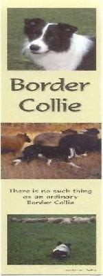 Bookmark BORDER COLLIE Laminated Paper set of 2...CLEARANCE PRICED