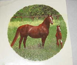 Ceramic Decal MARE & FOAL in Field Horse 4 1/4" Decal 3 pieces