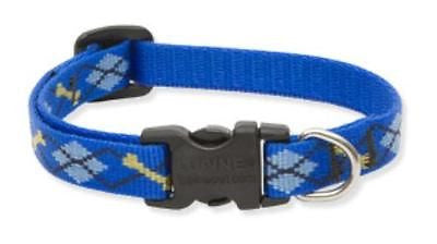 Lupine 1/2" wide DAPPER DOG Adjustable Nylon Dog Collar size 8-12"