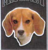 Car Magnet BEAGLE Dog Breed Die-cut Vinyl...Clearance Priced