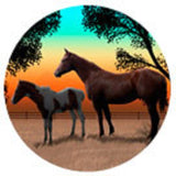 Vinyl SUNSET HORSES Horse Round Car/Truck Magnet...Clearance Priced