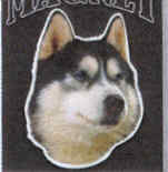 Car Magnet SIBERIAN HUSKY Dog Breed Die-cut Vinyl...Clearance Priced