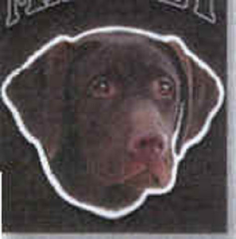 Car Magnet LABRADOR RETRIEVER Chocolate Dog Die-cut Vinyl...Clearance Priced