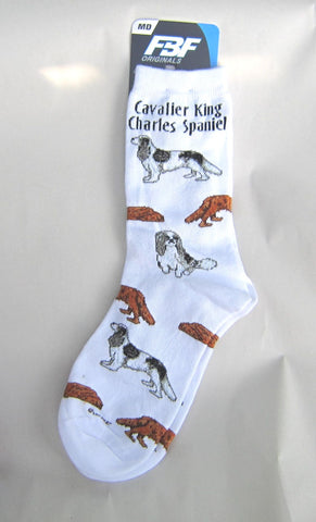 Adult Medium CAVALIER KING CHARLES Dog Breed Poses Footwear Dog Socks 6-11