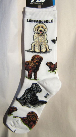 Adult Medium LABRADOODLE Dog Breed Poses Footwear Dog Socks 6-11