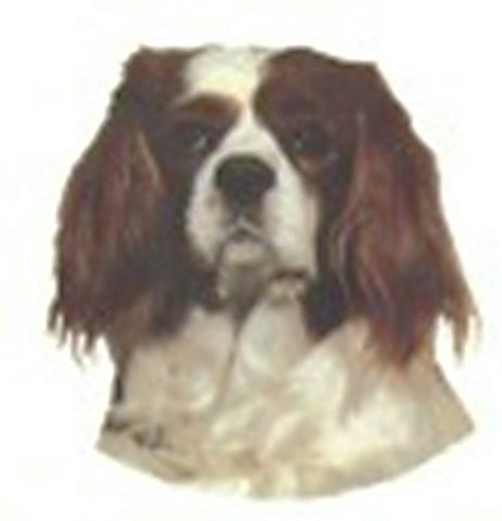 Car Window CAVALIER KING CHARLES Dog Decal 2-sided...Clearance Priced
