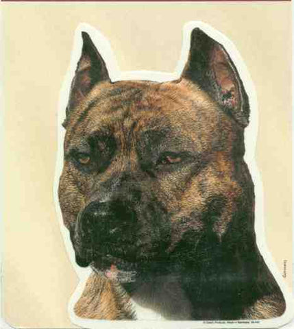 Car Window Decal PITBULL BRINDLE Dog Decal 2-sided...Clearance Priced