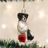 Old World Christmas BORDER COLLIE Blown Glass Dog Breed Ornament