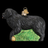 Old World Christmas NEWFOUNDLAND Blown Glass Dog Breed Ornament