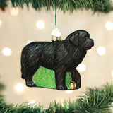 Old World Christmas NEWFOUNDLAND Blown Glass Dog Breed Ornament