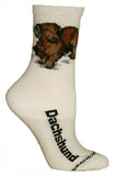 Adult Socks DACHSHUND RED Dog Breed Natural size Medium Made in USA