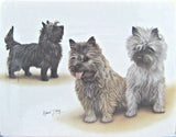 Retired Dog Breed CAIRN TERRIER TRIO Vinyl Softcover Address Book by Robert May