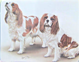 Retired Dog Breed CAVALIER KING CHARLES DUO Softcover Address Book by Robert May