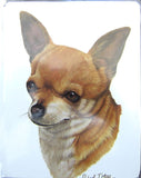 Retired Dog Breed CHIHUAHUA Vinyl Softcover Address Book by Robert May