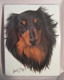 Retired Dog Breed DACHSHUND LONGHAIR Vinyl Softcover Address Book by Robert May