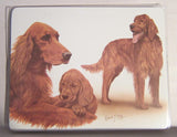 Retired Dog Breed IRISH SETTER FAMILY Vinyl Softcover Address Book by Robert May