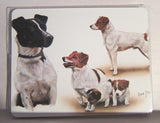 Retired Dog Breed JACK RUSSELL FAMILY Vinyl Softcover Address Book by Robert May