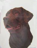 Retired Dog Breed LAB RETRIEVER CHOCOLATE Softcover Address Book by Robert May