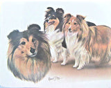 Retired Dog Breed SHELTIE TRIO Vinyl Softcover Address Book by Robert May