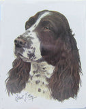 Retired Dog Breed SPRINGER SPANIEL Vinyl Softcover Address Book by Robert May